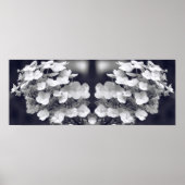 Hydrangea Blume Schwarz-Weiß-Spiegel Abstrakt Poster (Vorne)