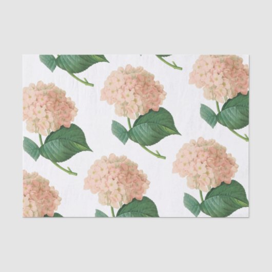Hydrangea-Blume Seidenpapier (Vorderseite)