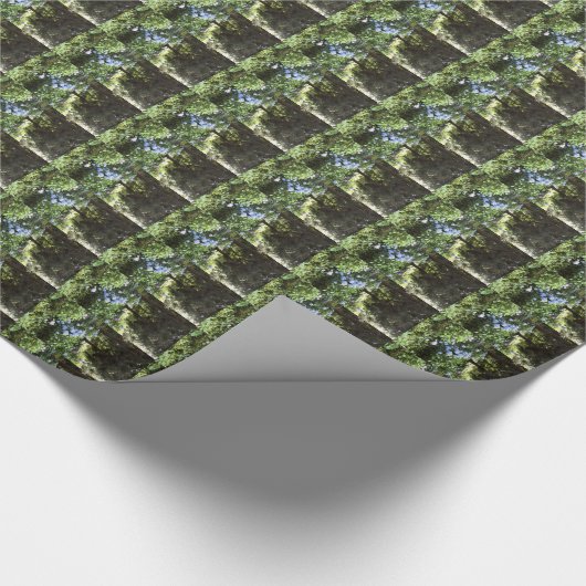 Hydrangea Blumenbäume Naturfotografie Geschenkpapier (Ecke)