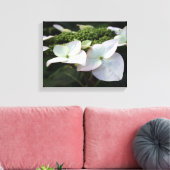 Hydrangea - Blumenfotografie - Leinwand (Insitu (Wohnzimmer))