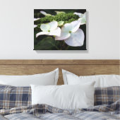 Hydrangea - Blumenfotografie - Leinwand (Insitu (Schlafzimmer))