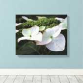 Hydrangea - Blumenfotografie - Leinwand (Insitu (Holzboden))