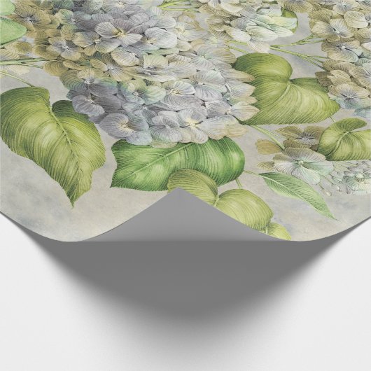 Hydrangea-Blumenlavendel auf grauem Vintagem Geschenkpapier (Ecke)