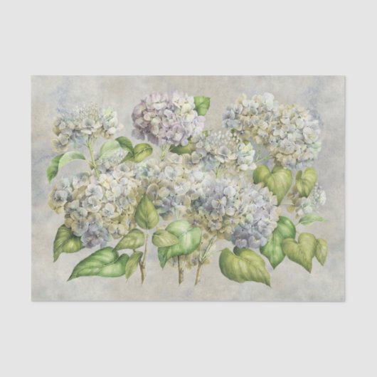 Hydrangea-Blumenlavendel auf grauem Vintagem Seidenpapier (Vorderseite)