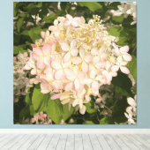 Hydrangea - Blush - Canvas Print Leinwanddruck (Insitu (Holzboden))