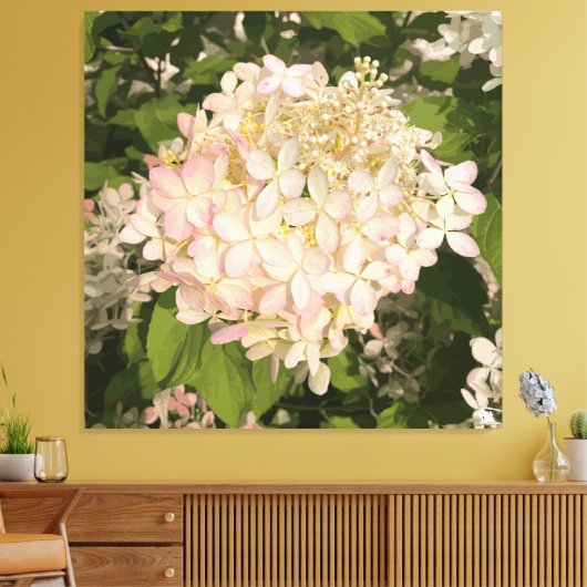 Hydrangea - Blush - Canvas Print Leinwanddruck (Insitu (Wohnzimmer))