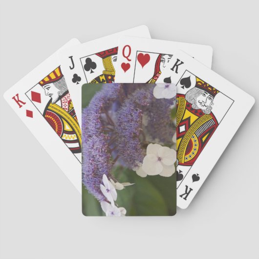 Hydrangea Blüte, Dr. Sun Yat-Sen Chinesischer Gart Spielkarten (Rückseite)