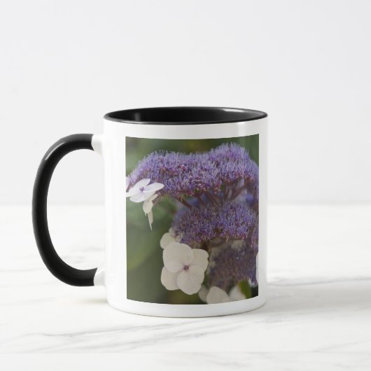 Hydrangea Blüte, Dr. Sun Yat-Sen Chinesischer Gart Tasse (Links)