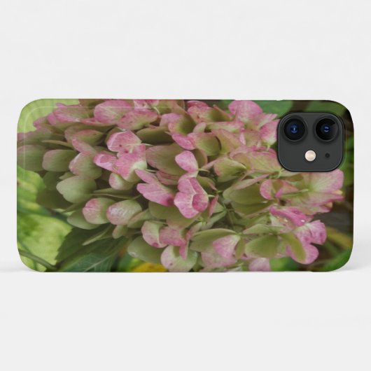 Hydrangea Blüte im Herbst mit Golden Hosta Blätter Case-Mate iPhone Hülle (Rückseite (Horizontal))