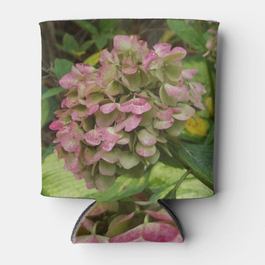 Hydrangea Blüte im Herbst mit Golden Hosta Blätter Dosenkühler (Vorderseite)