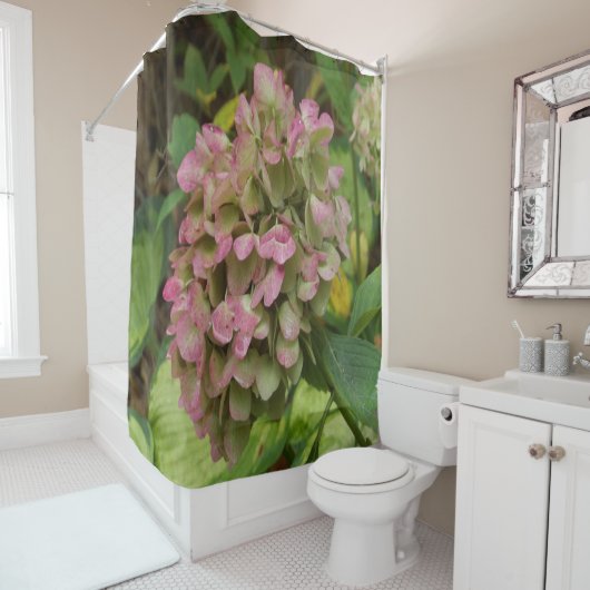 Hydrangea Blüte im Herbst mit Golden Hosta Blätter Duschvorhang (Beispiel)