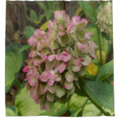 Hydrangea Blüte im Herbst mit Golden Hosta Blätter Duschvorhang (Vorderseite)