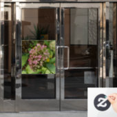 Hydrangea Blüte im Herbst mit Golden Hosta Blätter Fensteraufkleber (Büro Tür)