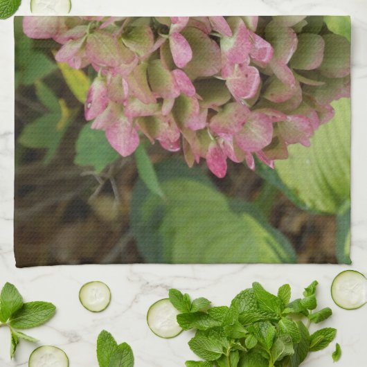 Hydrangea Blüte im Herbst mit Golden Hosta Blätter Geschirrtuch (Gefaltet)