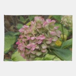 Hydrangea Blüte im Herbst mit Golden Hosta Blätter Geschirrtuch