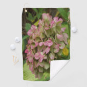 Hydrangea Blüte im Herbst mit Golden Hosta Blätter Golfhandtuch (Insitu)