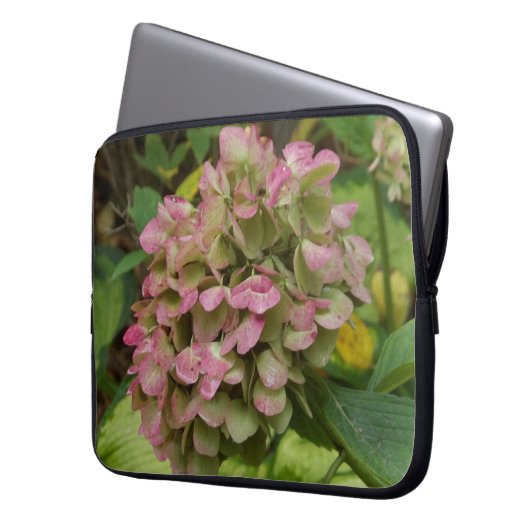 Hydrangea Blüte im Herbst mit Golden Hosta Blätter Laptopschutzhülle (Vorderseite Links)