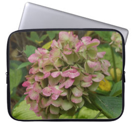 Hydrangea Blüte im Herbst mit Golden Hosta Blätter Laptopschutzhülle