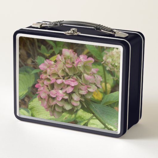 Hydrangea Blüte im Herbst mit Golden Hosta Blätter Metall Brotdose (Vorderseite)