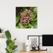 Hydrangea Blüte im Herbst mit Golden Hosta Blätter Poster (Heimbüro)