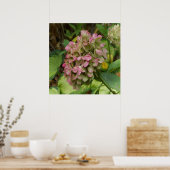 Hydrangea Blüte im Herbst mit Golden Hosta Blätter Poster (Küche)