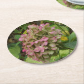 Hydrangea Blüte im Herbst mit Golden Hosta Blätter Runder Pappuntersetzer (Angewinkelt)