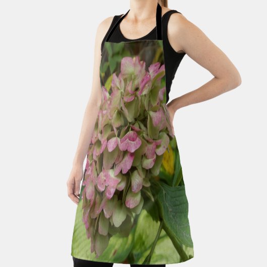 Hydrangea Blüte im Herbst mit Golden Hosta Blätter Schürze (InSitu)