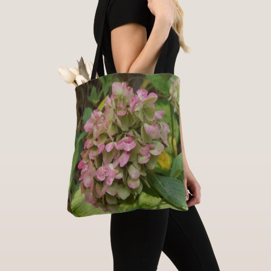 Hydrangea Blüte im Herbst mit Golden Hosta Blätter Tasche (Von Nahem)