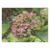 Hydrangea Blüte im Herbst mit Golden Hosta Blätter Tischdecke (Vorderseite (Horizontal))