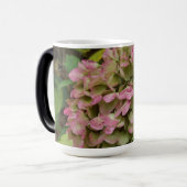 Hydrangea Blüte im Herbst mit Golden Hosta Blätter Verwandlungstasse (Vorderseite Links)