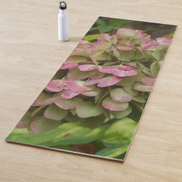 Hydrangea Blüte im Herbst mit Golden Hosta Blätter Yogamatte