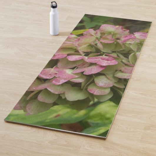 Hydrangea Blüte im Herbst mit Golden Hosta Blätter Yogamatte (Beispiel)