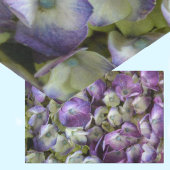 Hydrangea Botanical Floral Fotografie Lila Seidenpapier