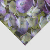 Hydrangea Botanical Floral Fotografie Lila Seidenpapier (Ausschnitt)