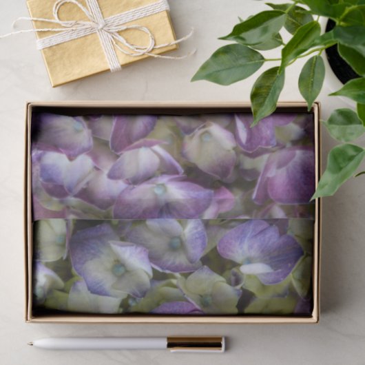 Hydrangea Botanical Floral Fotografie Lila Seidenpapier (Geschenk)