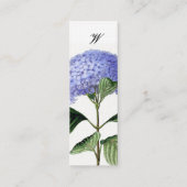 Hydrangea-botanische Visitenkarte (Rückseite)