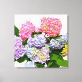 Hydrangea Bouquet Leinwanddruck (Vorderseite)