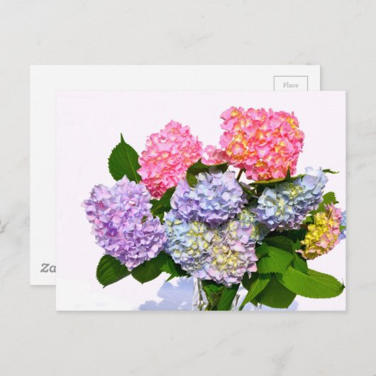 Hydrangea Bouquet Postkarte (Vorne/Hinten)