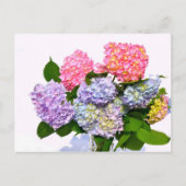 Hydrangea Bouquet Postkarte (Vorderseite)
