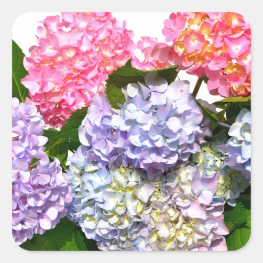 Hydrangea Bouquet Quadratischer Aufkleber (Vorderseite)