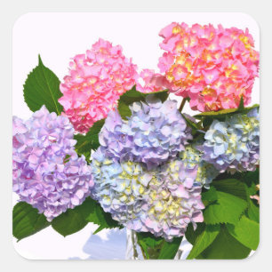 Hydrangea Bouquet Quadratischer Aufkleber