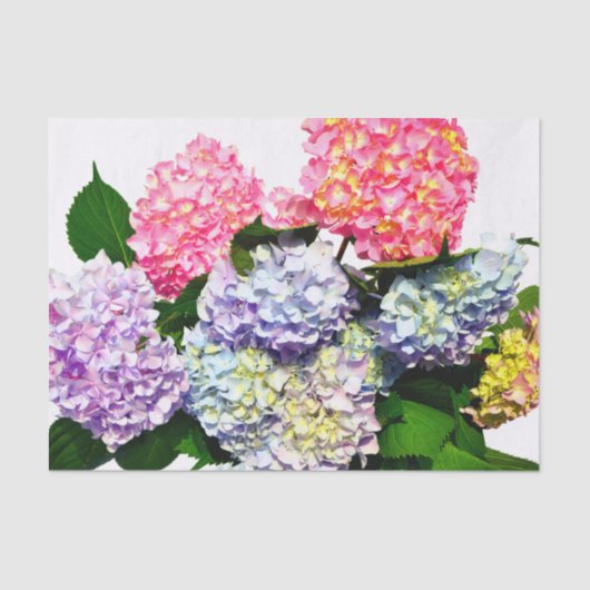 Hydrangea Bouquet Seidenpapier (Vorderseite)