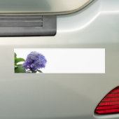 Hydrangea-Bush-Autoaufkleber Autoaufkleber (Auf Auto)