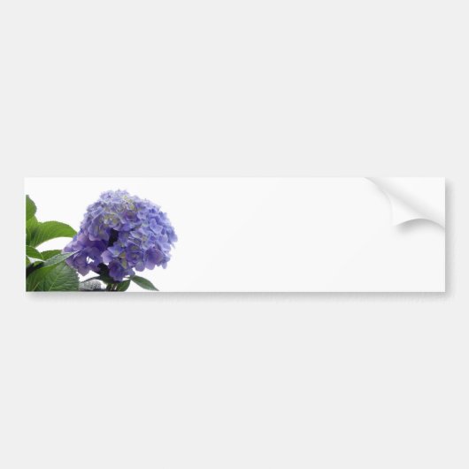 Hydrangea-Bush-Autoaufkleber Autoaufkleber (Vorne)