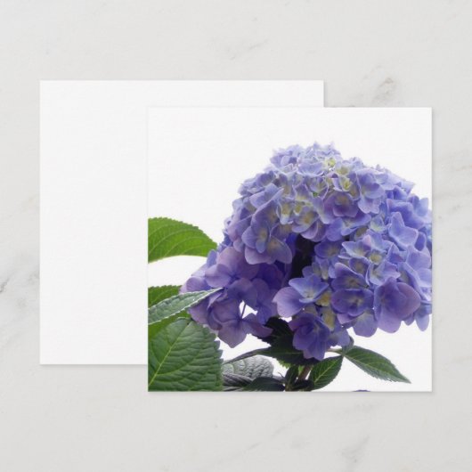 Hydrangea-Bush-Einladungen Einladung (Vorne/Hinten)