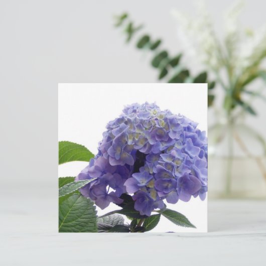Hydrangea-Bush-Einladungen Einladung (Stehend Vorderseite)