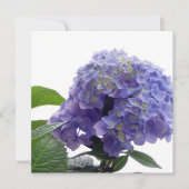 Hydrangea-Bush-Einladungen Einladung (Vorderseite)