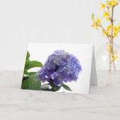 Hydrangea Bush Grußkarte Karte (Gelbe Blume)