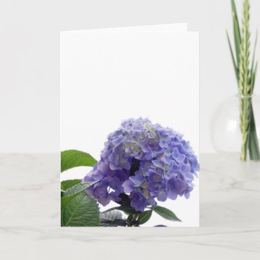 Hydrangea Bush Grußkarte Karte (Vorderseite)