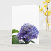 Hydrangea Bush Grußkarte Karte (Gelbe Blume)